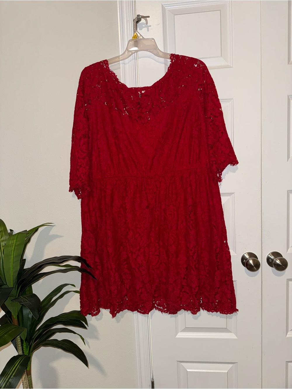 Lane Bryant Vibrant Red Dress